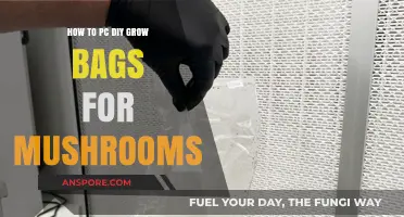 DIY Mushroom Grow Bags: Easy PC Setup for Home Cultivation