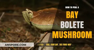 Mastering the Art of Peeling Bay Bolete Mushrooms: A Step-by-Step Guide