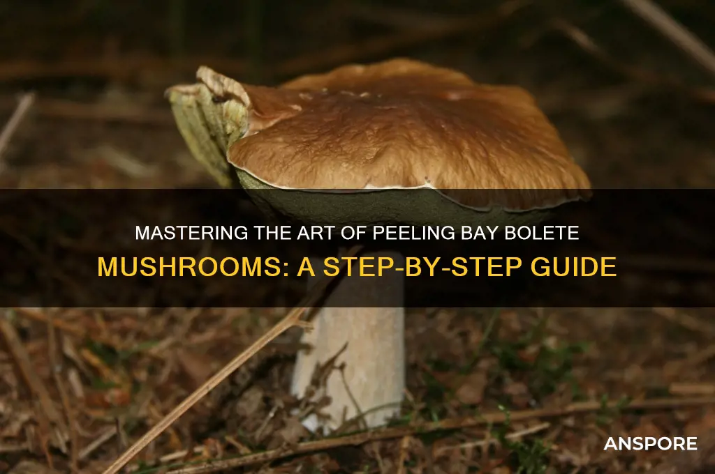 how to peal a bay bolete mushroom