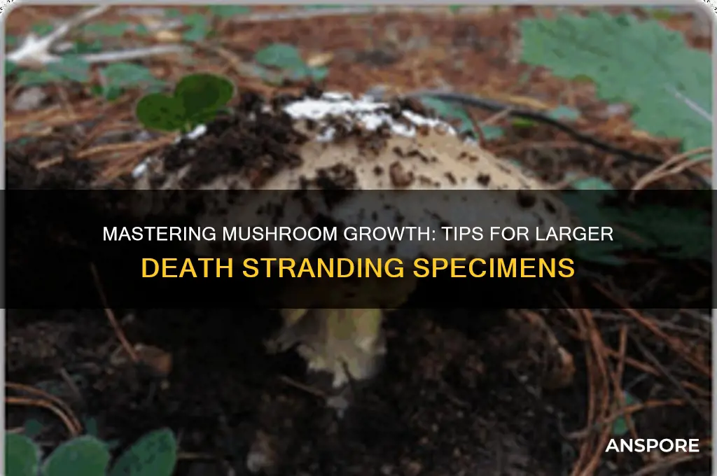 how to pee larger mushrooms death stranding