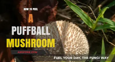 Mastering the Art of Peeling Puffball Mushrooms: A Step-by-Step Guide