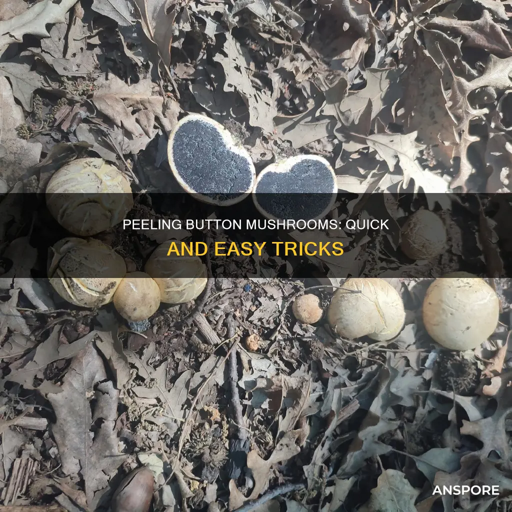 how to peel button mushrooms