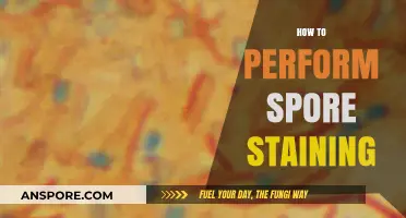 Mastering Spore Staining: A Step-by-Step Laboratory Technique Guide