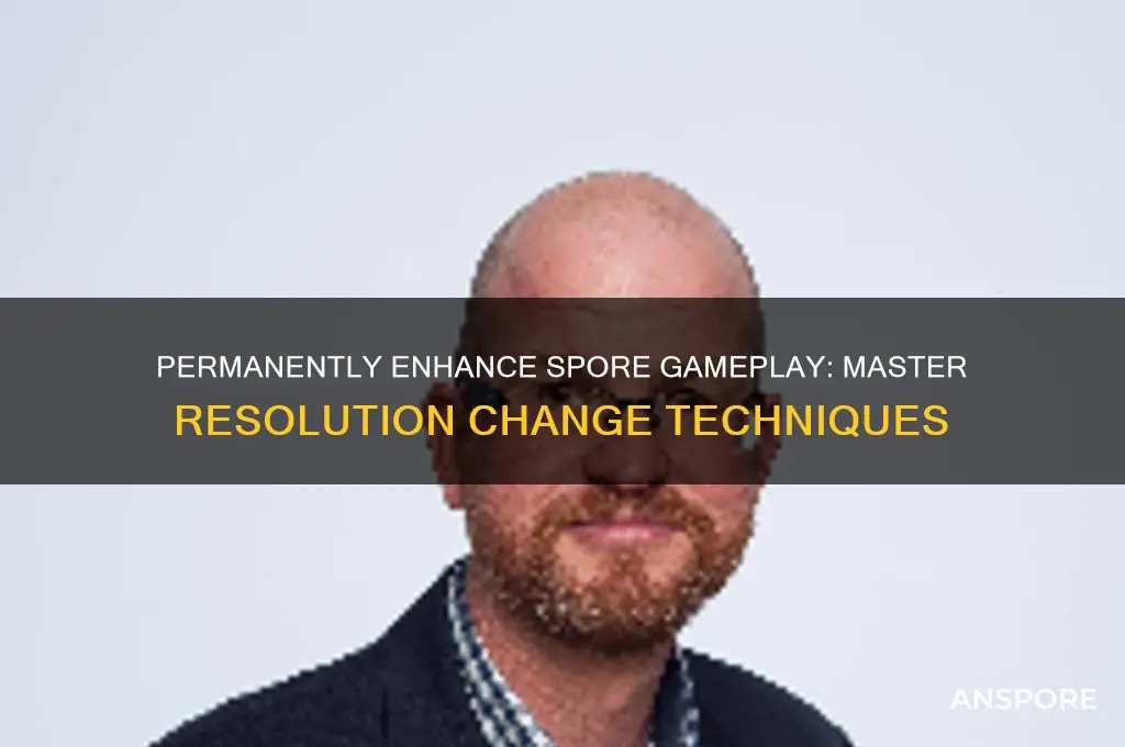 how to permanently change spore resolution