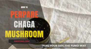 Preparing Chaga Mushroom: A Step-by-Step Guide