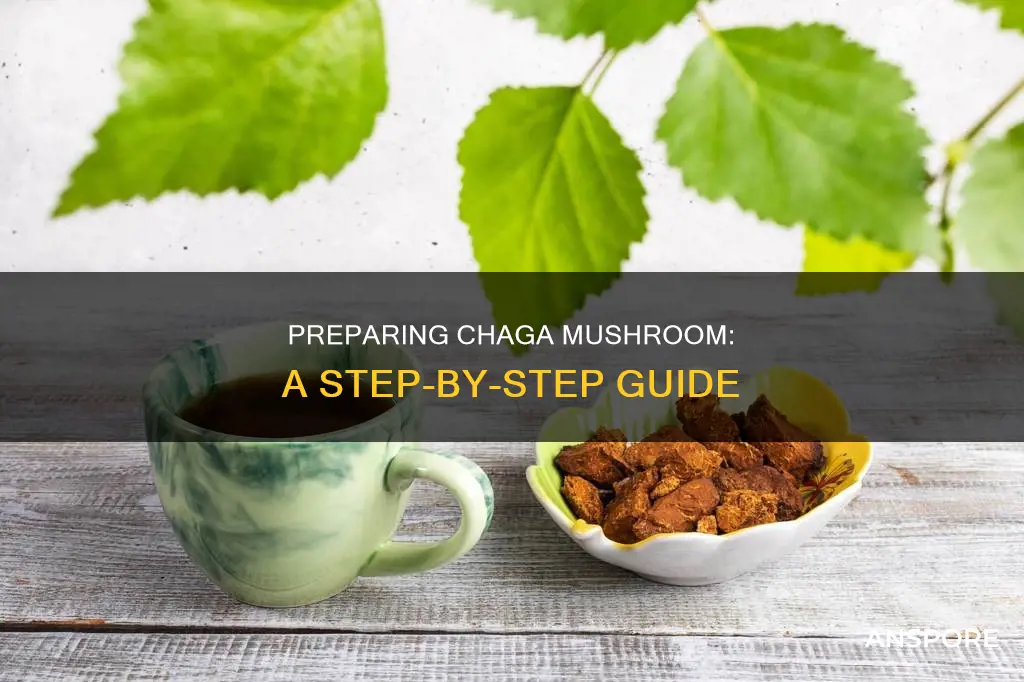 how to perpare chaga mushroom