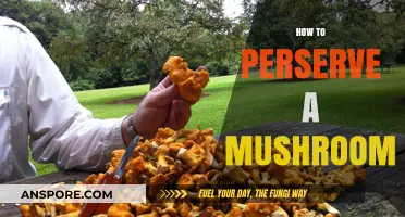 The Ultimate Guide to Preserving Mushrooms