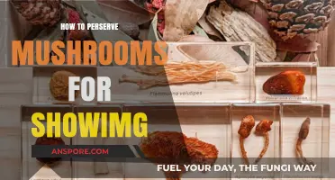 Preserving Mushrooms for Display: Tips and Techniques for Long-Lasting Showcases