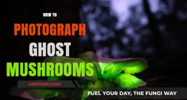 Ghost Mushroom Photography: Capturing the Elusive Beauty