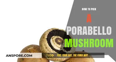 Mastering the Art of Selecting Perfect Portobello Mushrooms