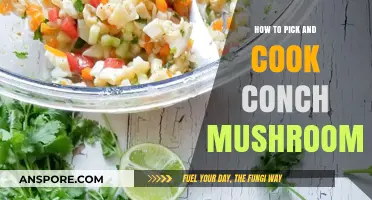 Mastering Conch Mushrooms: Selection Tips and Delicious Cooking Techniques