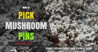 Mushroom Pins: Picking the Perfect Fungi Accessories