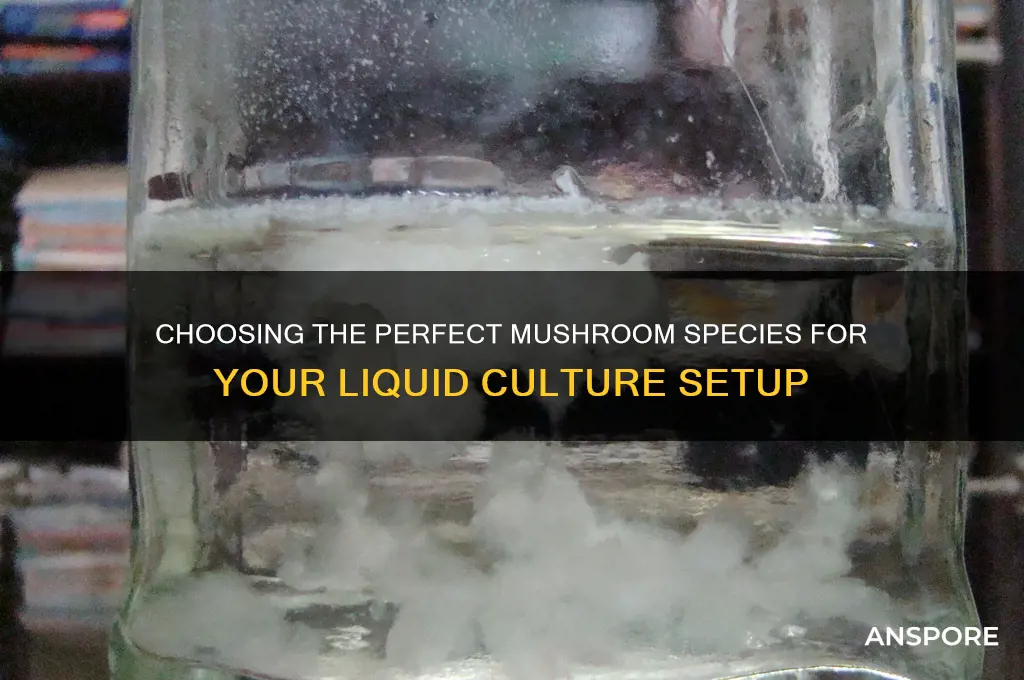 how to pick mushroom to start lc with