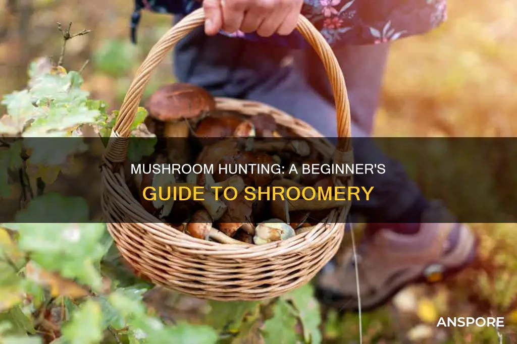 how to pick mushrooms shroomery