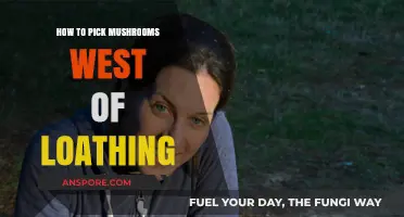 Mastering Mushroom Foraging in West of Loathing: Tips and Tricks