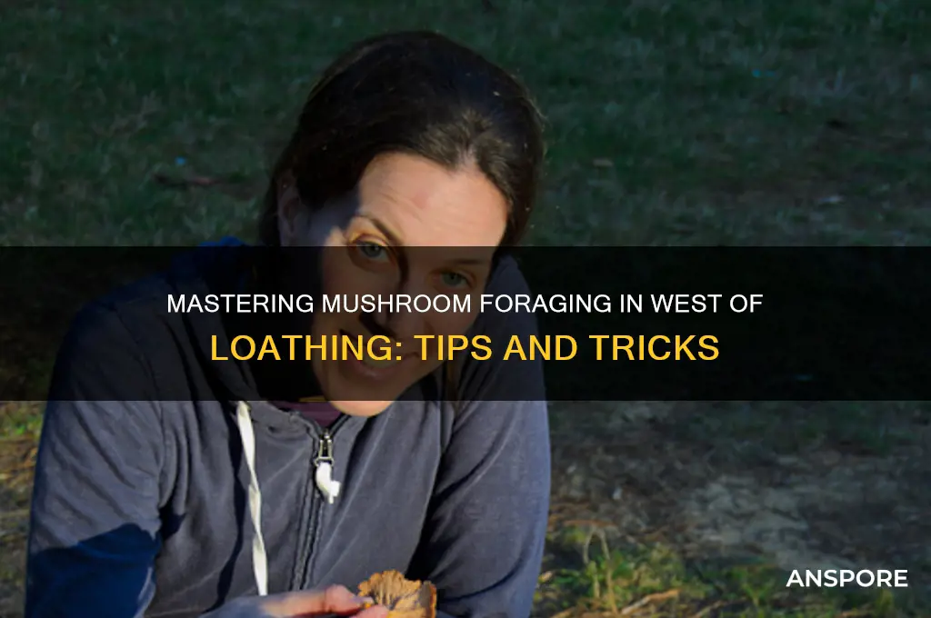 how to pick mushrooms west of loathing