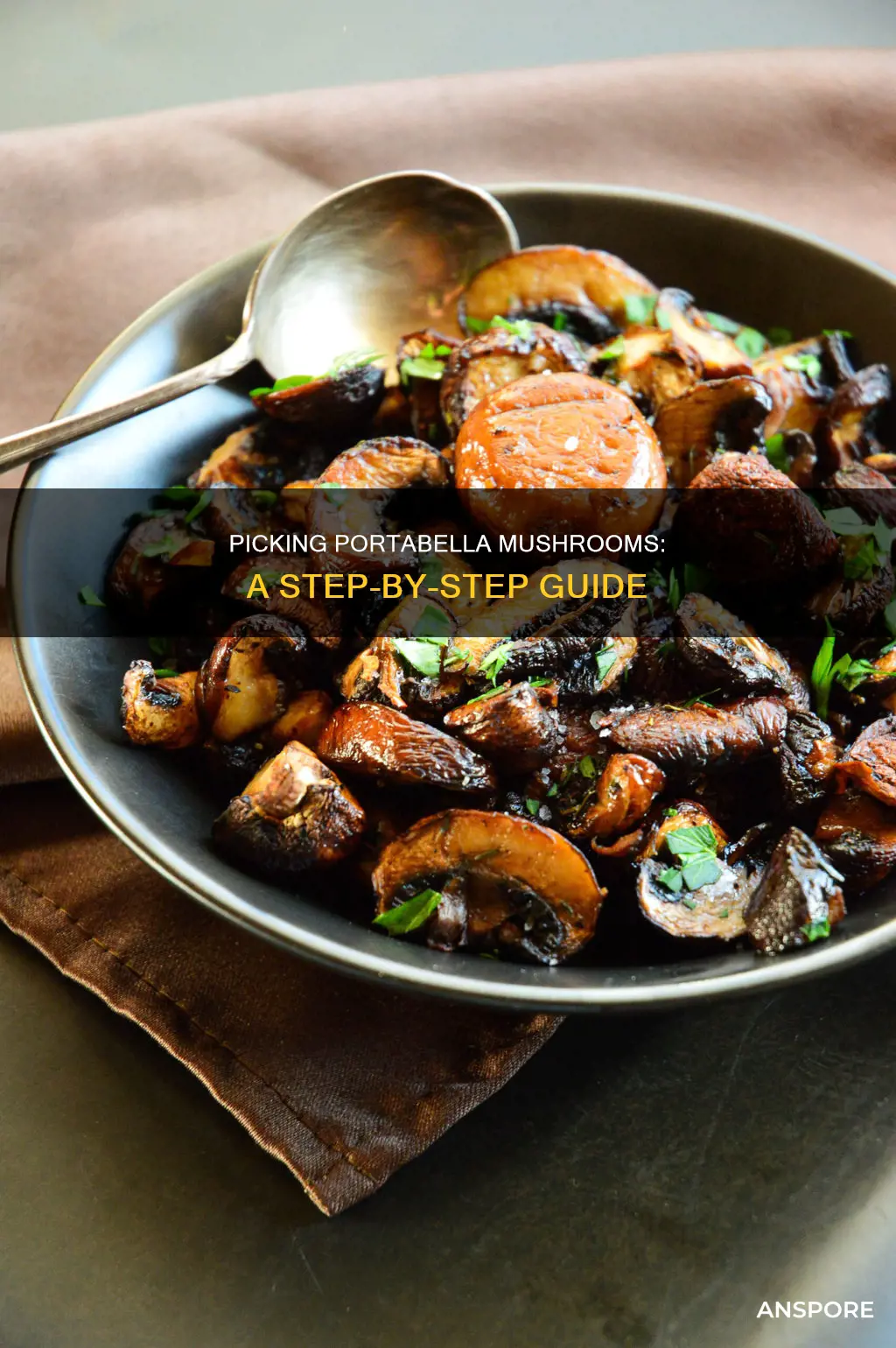 how to pick portabella mushrooms