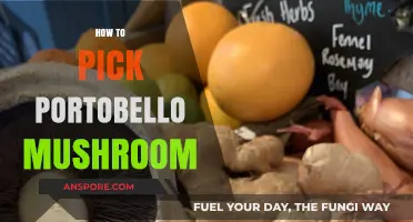 Mastering the Art of Selecting Perfect Portobello Mushrooms: A Guide