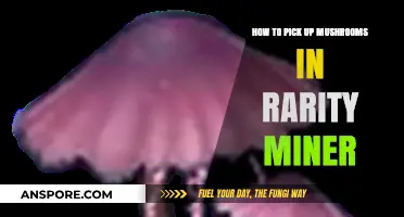 Mastering Mushroom Collection in Rarity Miner: Tips for Rare Finds