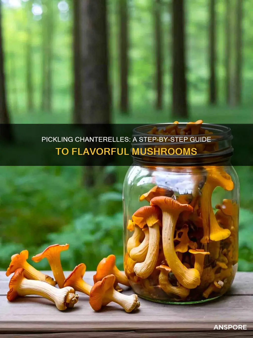 how to pickle chanterelle mushrooms