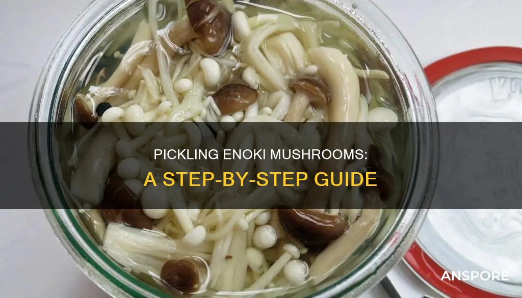 how to pickle enoki mushrooms