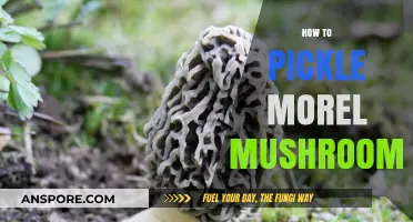 Mastering Morel Pickling: A Step-by-Step Guide to Preserving Wild Mushrooms