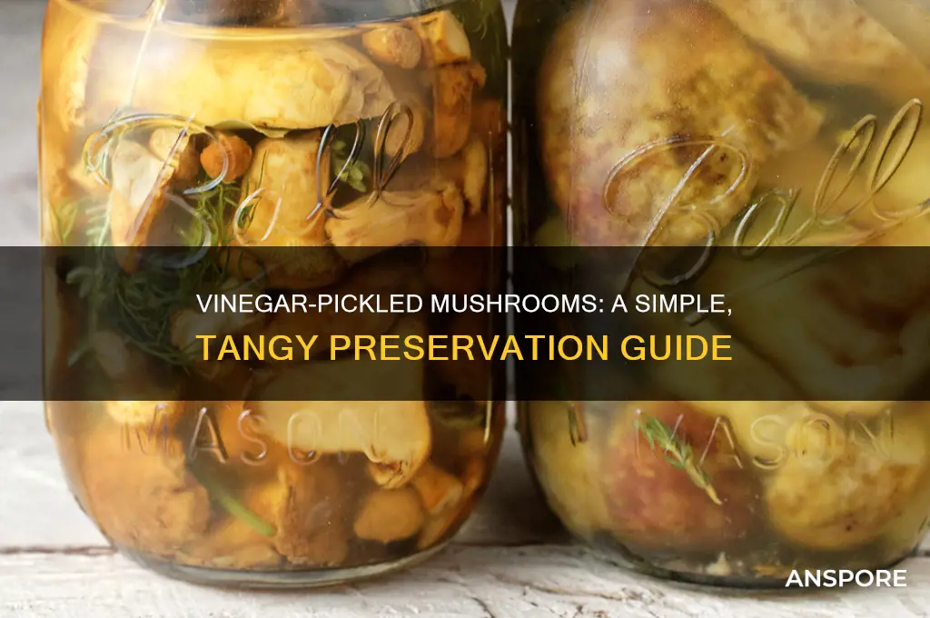 how to pickle mushrooms with vinegar