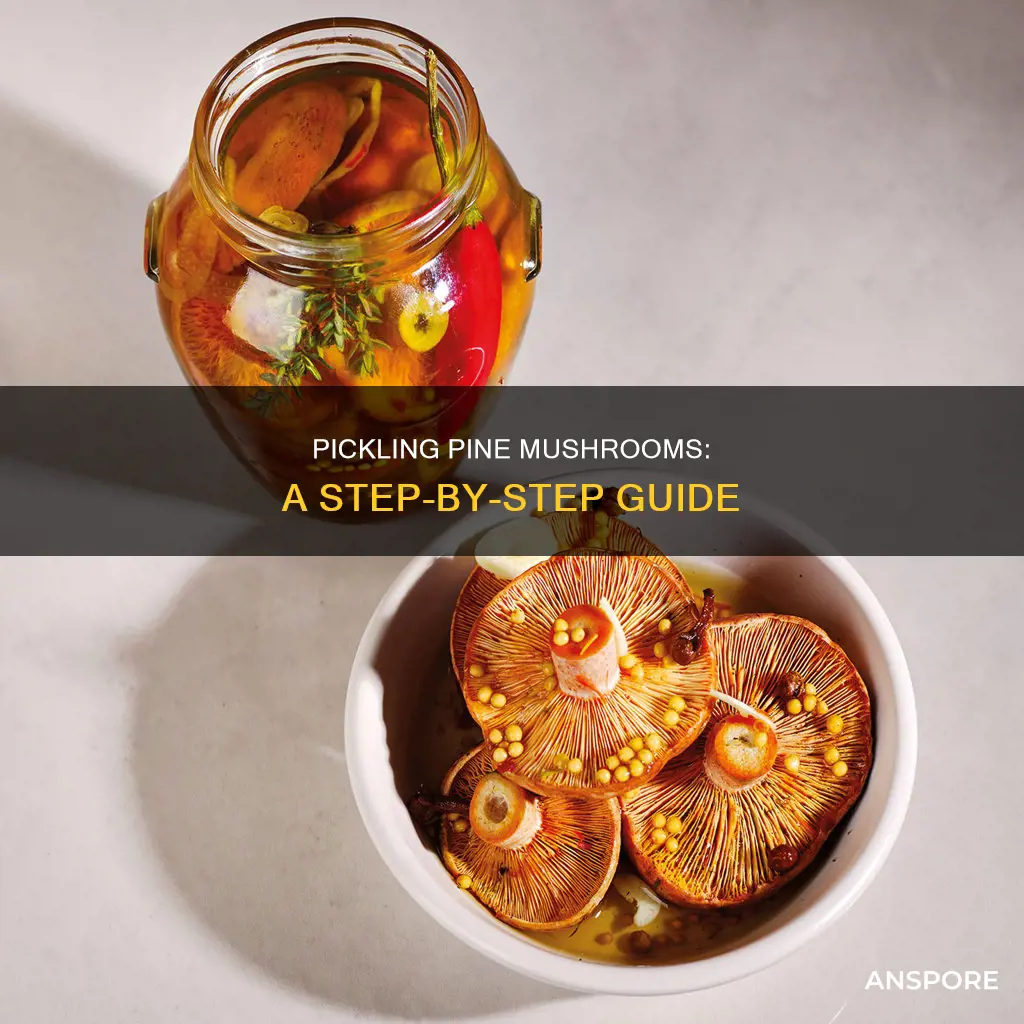 how to pickle pine mushrooms