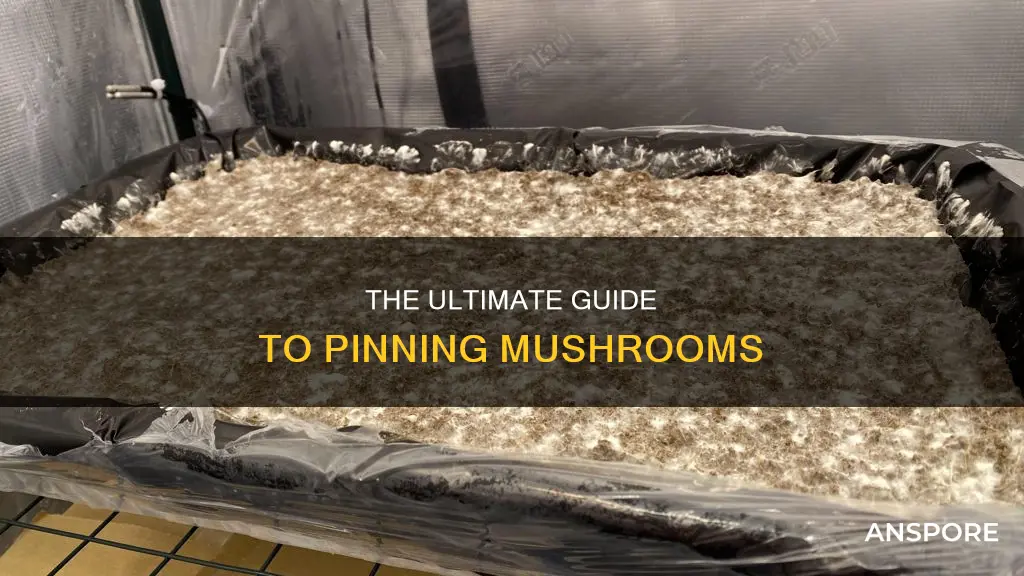 how to pin mushrooms