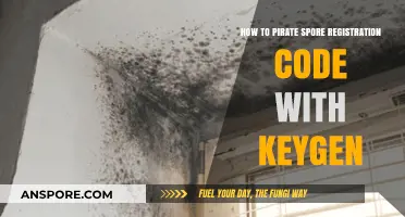 Unlock Spore: Keygen Guide for Bypassing Registration Codes Easily