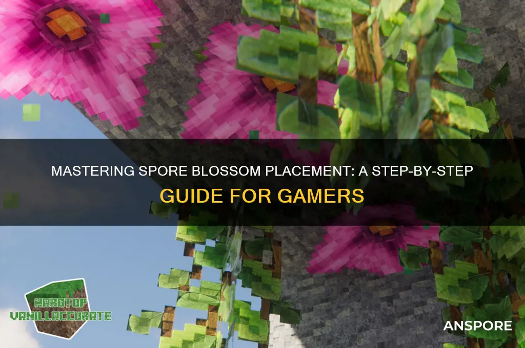 how to place a spore blossom