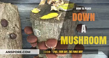 Mastering Mushroom Placement: A Step-by-Step Guide for Perfect Positioning