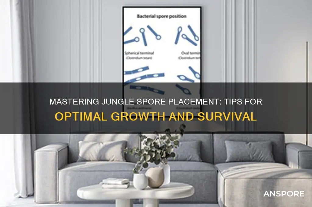 how to place jungle spores