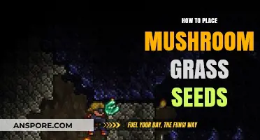 Mastering Mushroom Grass Seed Placement: A Step-by-Step Guide