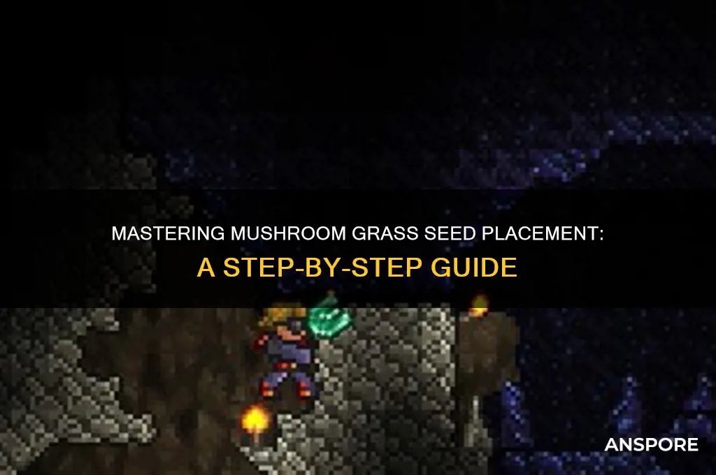 how to place mushroom grass seeds