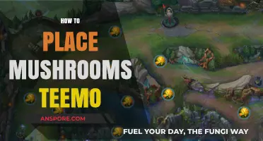 Strategic Mushroom Placement: Teemo's Guide to Victory