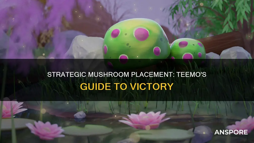 how to place mushrooms teemo