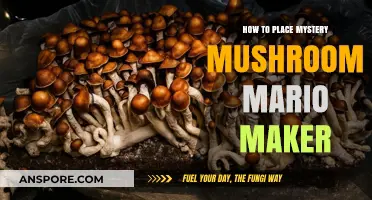 Mastering Mystery Mushroom Placement in Mario Maker: Creative Tips & Tricks