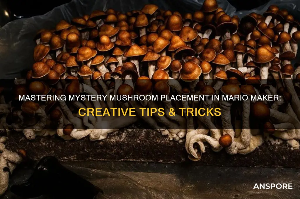 how to place mystery mushroom mario maker
