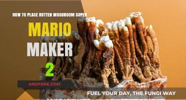 Mastering Rotten Mushroom Placement in Super Mario Maker 2