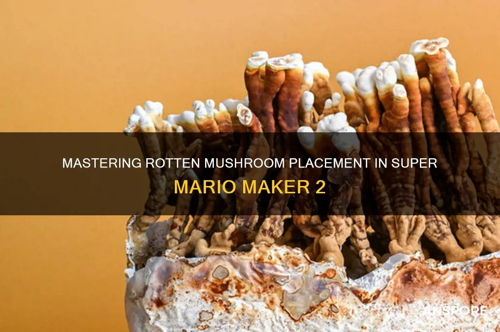 how to place rotten mushroom super mario maker 2