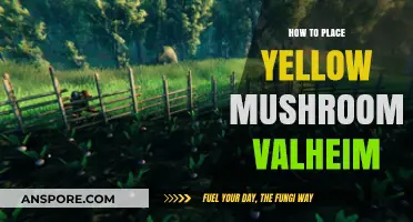 Valheim Yellow Mushroom Placement Guide: Tips for Optimal Growth