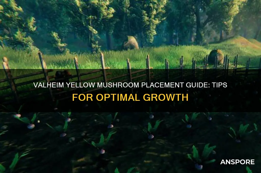 how to place yellow mushrooms valheim