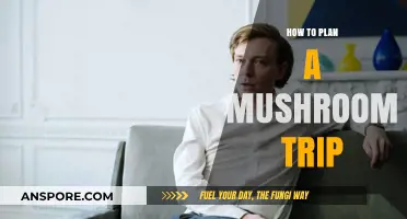 Planning Your Mushroom Journey: A Comprehensive Guide to Safe Exploration