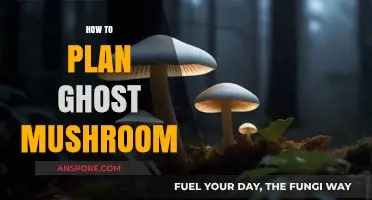 Grow Ghost Mushrooms: A Beginner's Guide to Cultivation