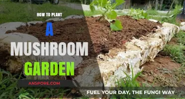 Growing Gourmet Mushrooms: A Beginner’s Guide to Planting Your Garden