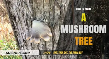 Growing a Mushroom Tree: A Step-by-Step Planting Guide