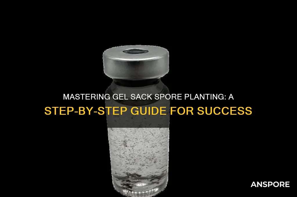 how to plant gel sack spores