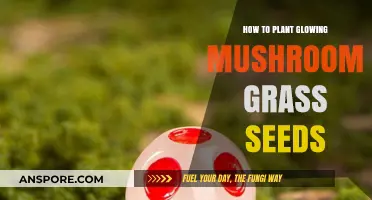 Planting Glowing Mushroom Grass Seeds: A Step-by-Step Guide to Enchanted Gardens