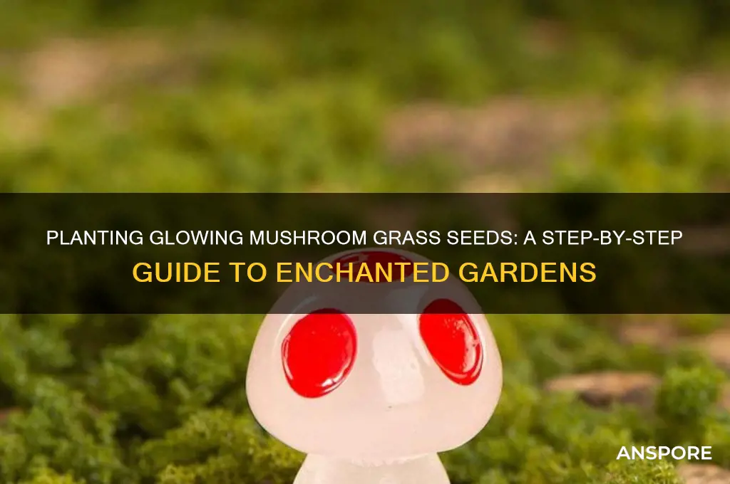 how to plant glowing mushroom grass seeds